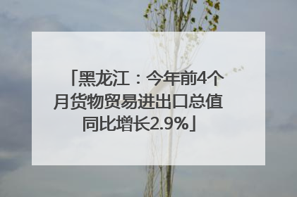 黑龙江：今年前4个月货物贸易进出口总值同比增长2.9%